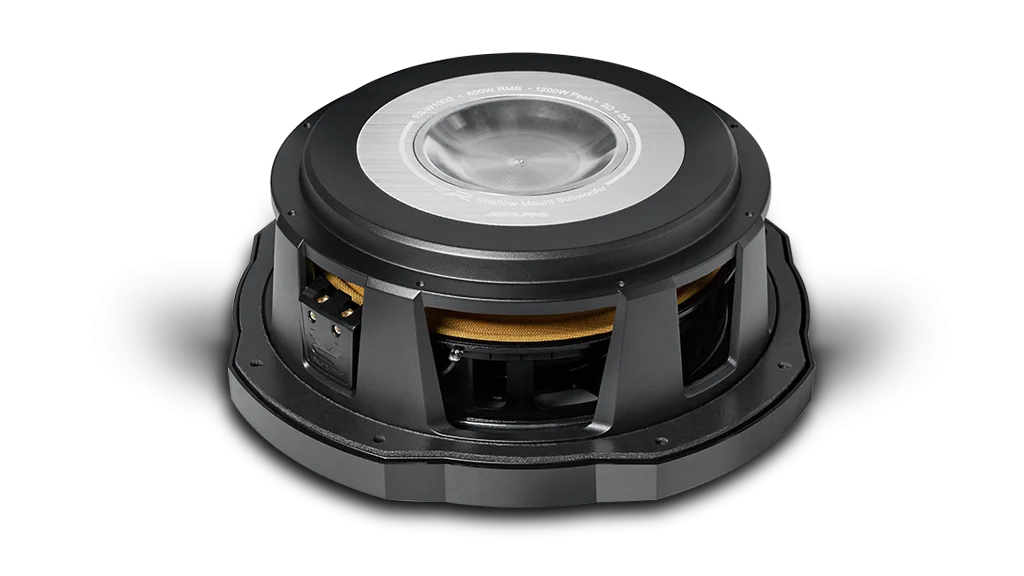 Alpine RS-W10 D2 10" Subwoofer with box