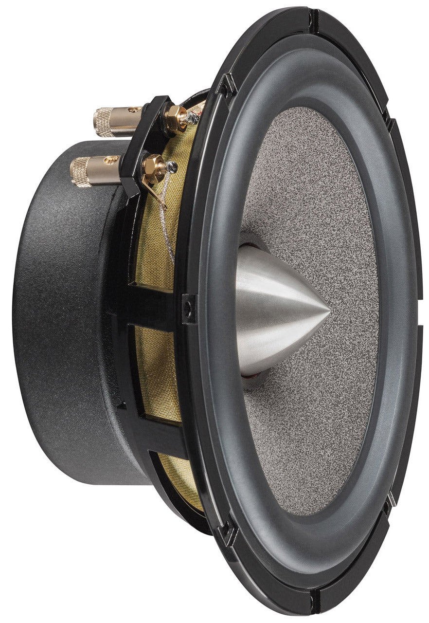 Brax Matrix ML6P 16CM MidBass with Phase Plug image 4